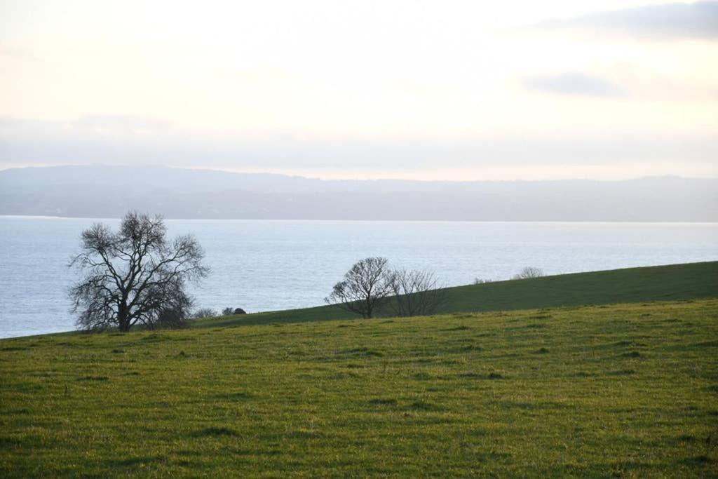 Whitehead Holiday Cottage Eksteriør bilde